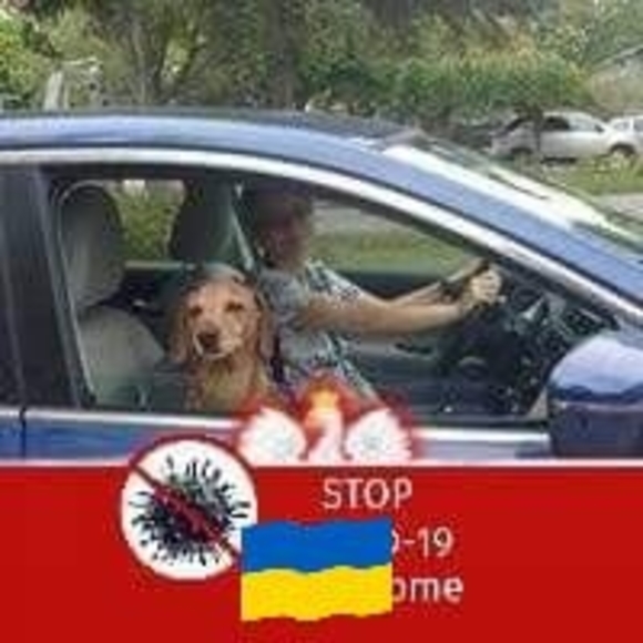 Meet your Posher, Ivona - Picture 1 of 1